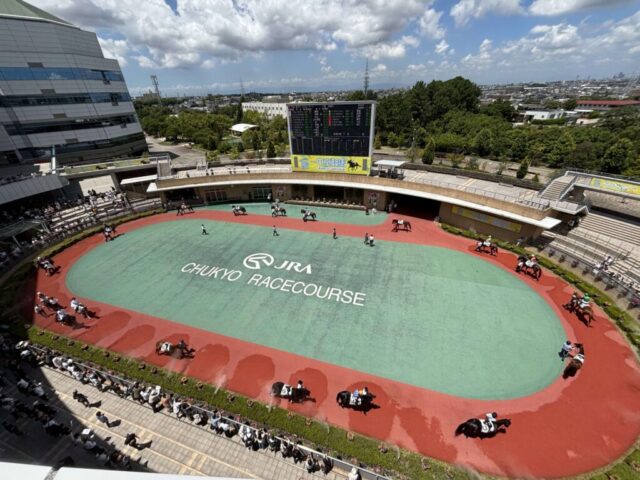 パドック 5R(中京競馬場)