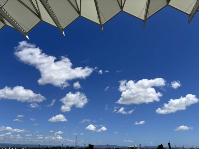 指定席B→「青空」(中京競馬場)