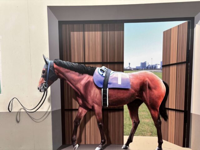 地下通路「トリックアート」(中京競馬場)