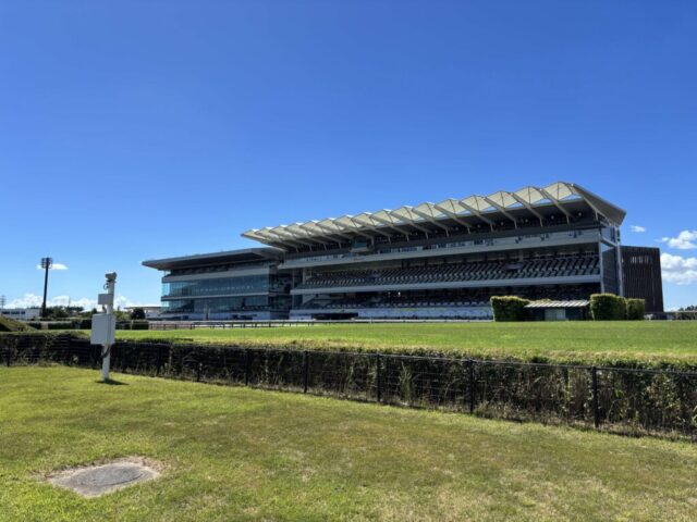 撮影ポイント(中京競馬場)