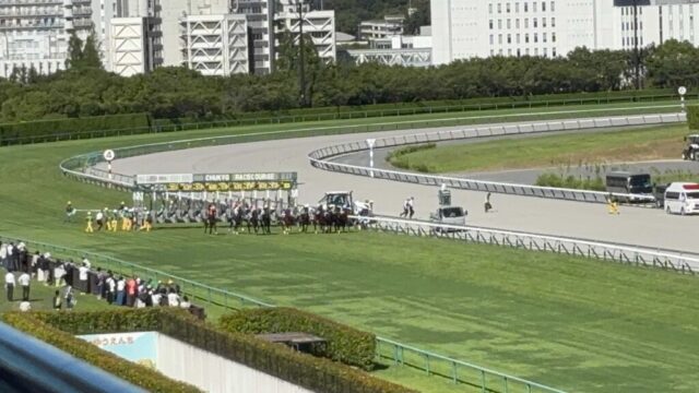 第7R 関ケ原ステークス 2,000メートル(芝)→「発走」