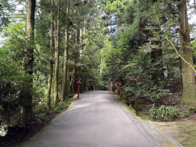 参道(箱根神社)