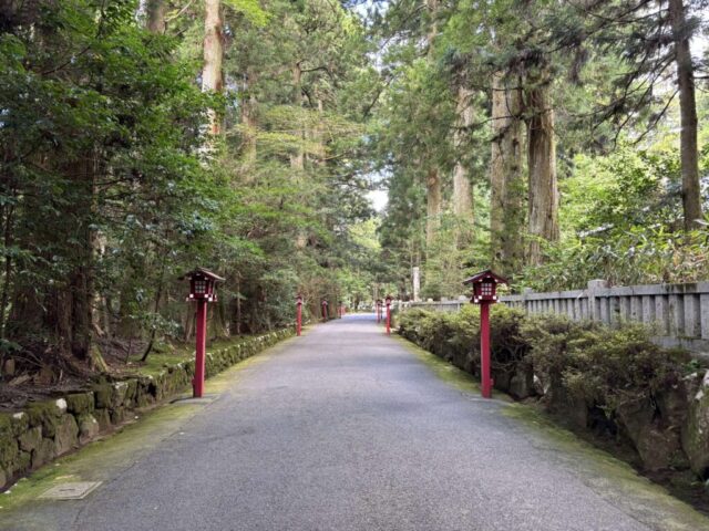 参道②(箱根神社)