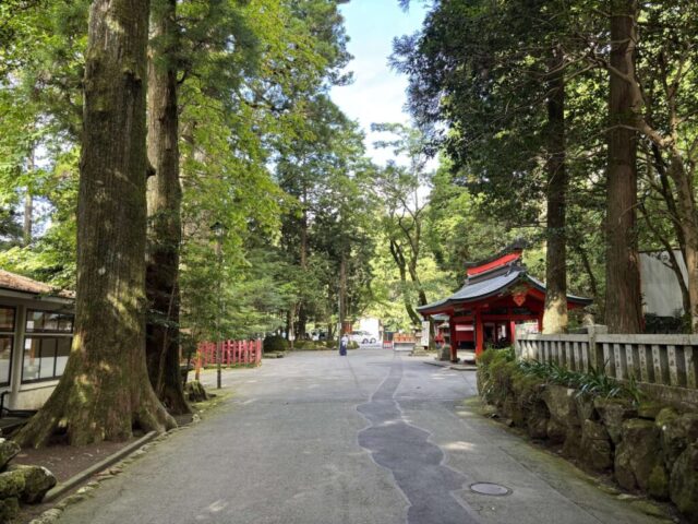 参道③(箱根神社)