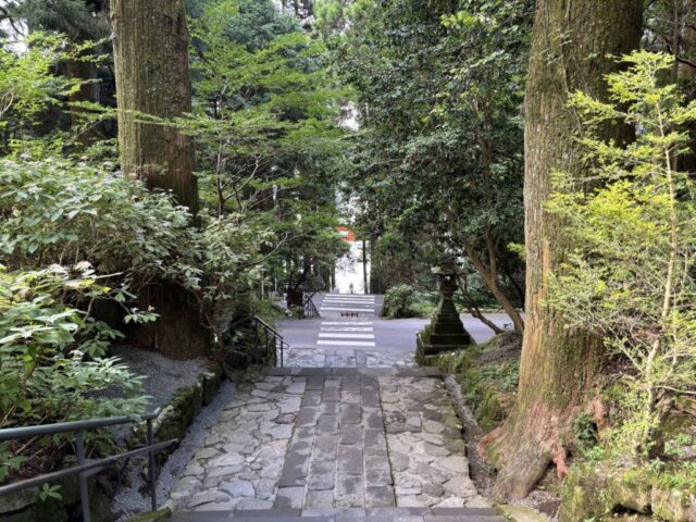 階段→下方向(箱根神社)