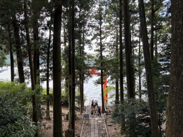 階段→「平和の鳥居」(箱根神社)