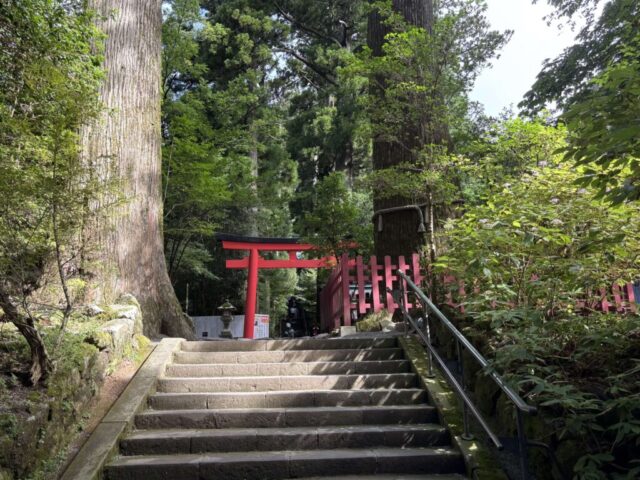 階段→「第四鳥居」(箱根神社)