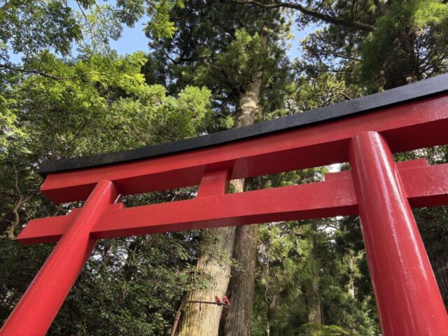 第四鳥居③(箱根神社)