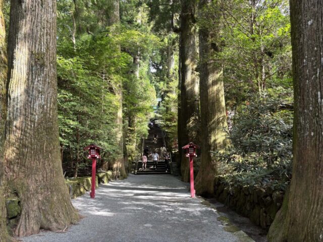 第四鳥居→「参道」(箱根神社)