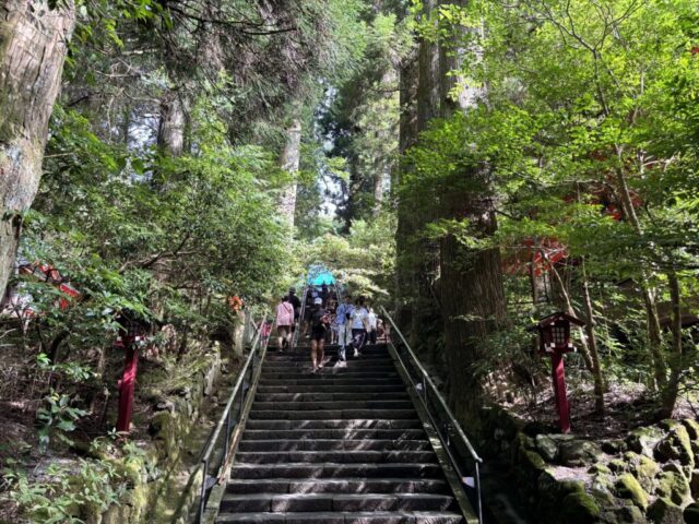 参道④(箱根神社)