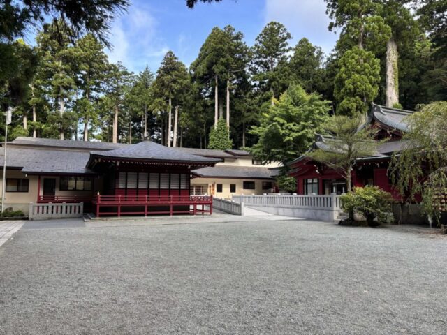 第五鳥居→「左側」(箱根神社)