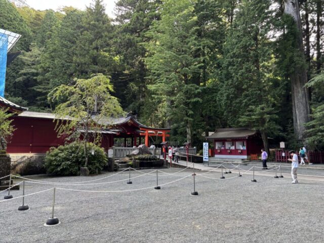 第五鳥居→「右側」(箱根神社)