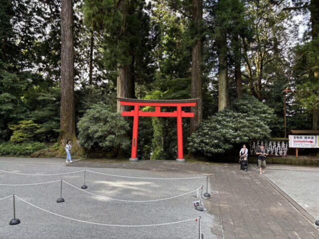 神門→「第五鳥居」(箱根神社)