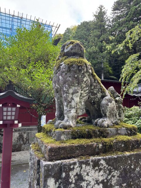狛犬(箱根神社)