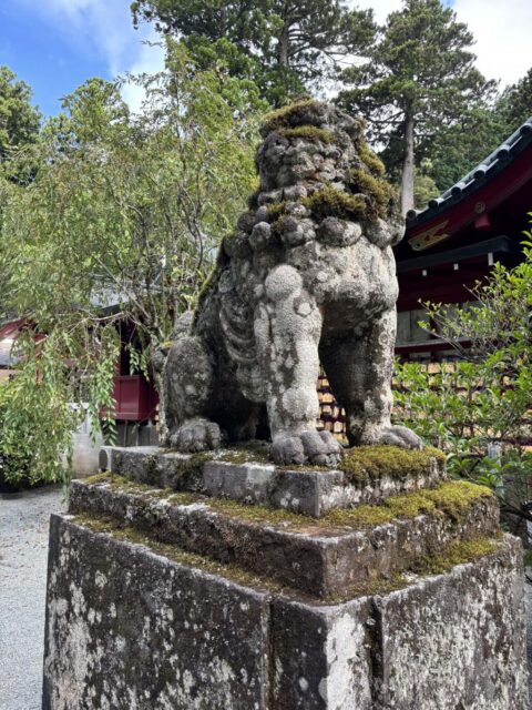 狛犬(箱根神社)