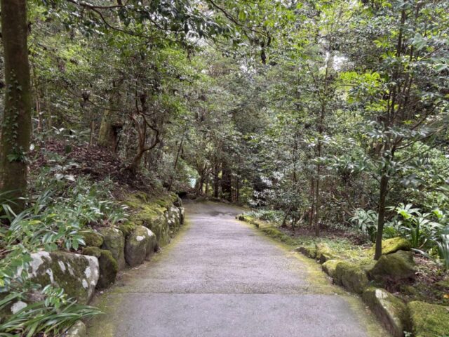 脇参道②(箱根神社)