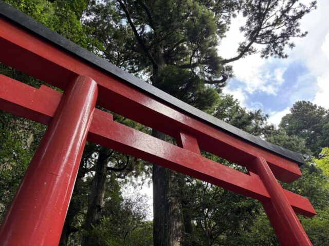 第四鳥居④(箱根神社)