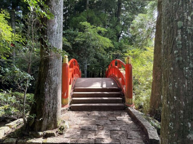 湖畔沿い(箱根神社)