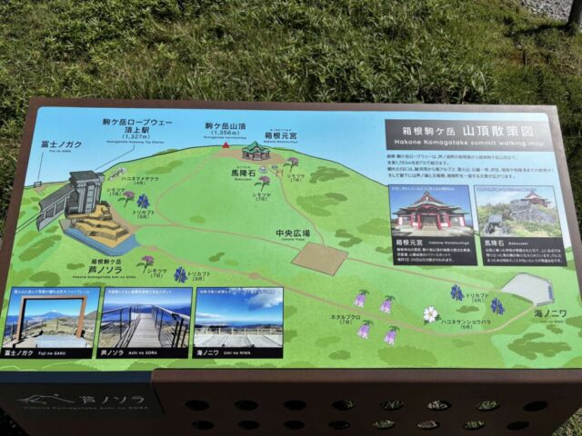 箱根駒ヶ岳 山頂散策図