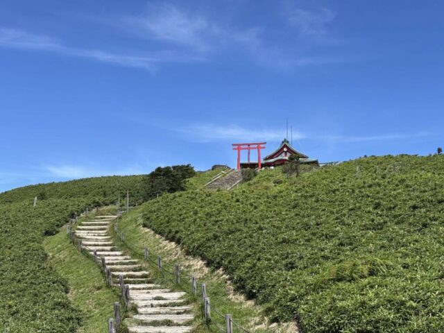 参道（箱根元宮）