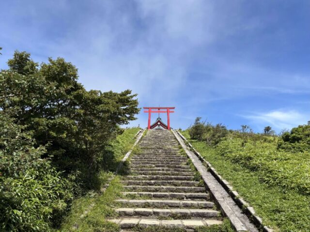 参道→「鳥居」（箱根元宮）