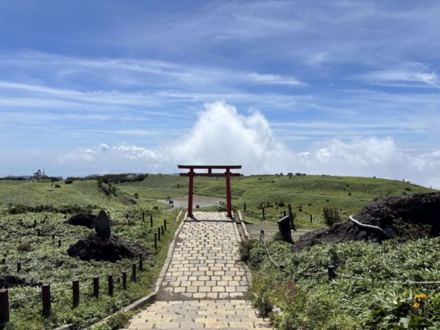 社殿→「鳥居」（箱根元宮）