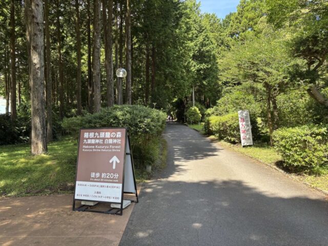 九頭龍の森セラピーロード(箱根町)