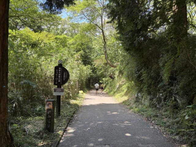 九頭龍の森セラピーロード②(箱根町)