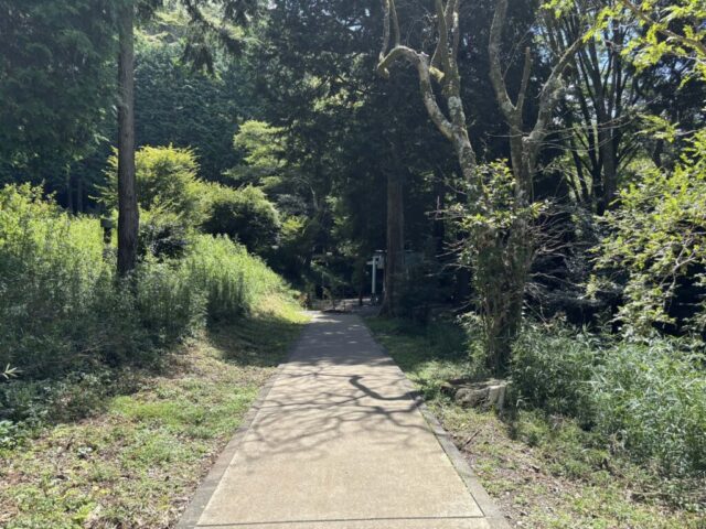 白龍神社①(九頭龍の森)