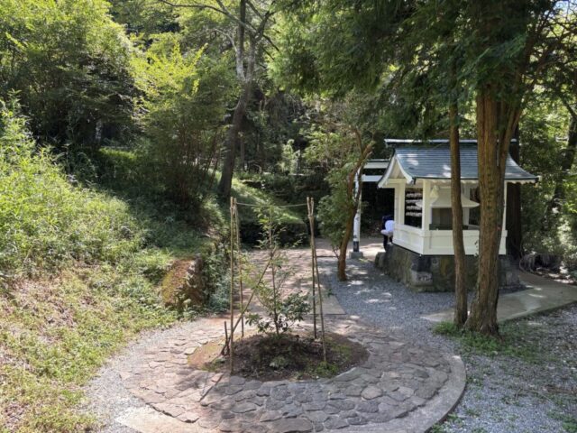 白龍神社②(九頭龍の森)