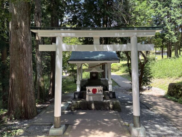 白龍神社③(九頭龍の森)