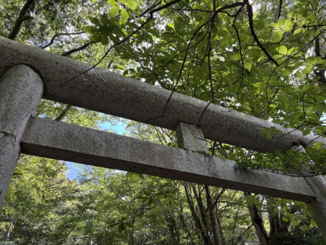 鳥居(九頭龍神社)