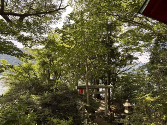 石段→「鳥居」(九頭龍神社)