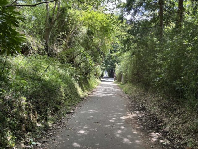 九頭龍の森セラピーロード⑤(箱根町)