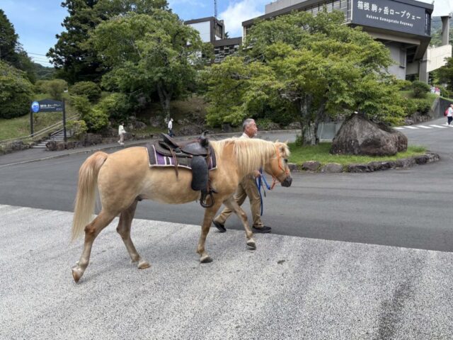 お馬さん(箱根町)
