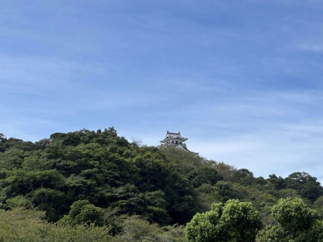 館山城(館山市)