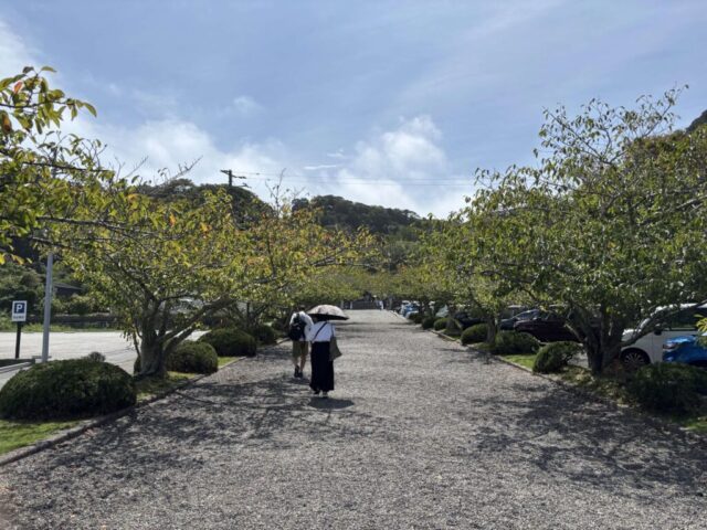 参道(安房神社)