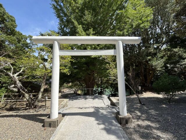 「下の宮」鳥居②(安房神社)