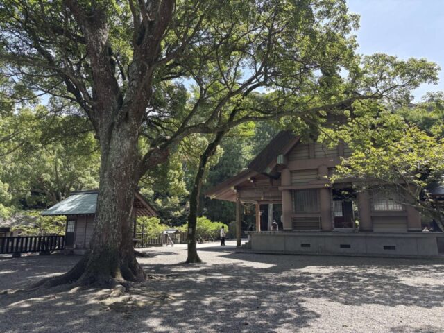 参道→「拝殿」②(安房神社)