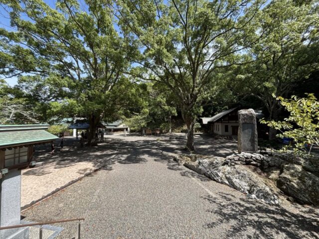 参道④(安房神社)