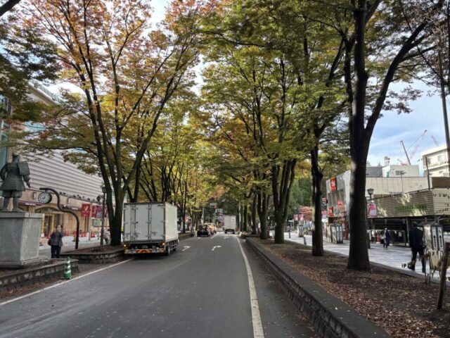 ケヤキ通り（府中市）