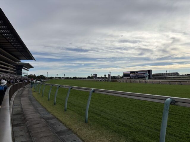 緑のターフ（東京競馬場）