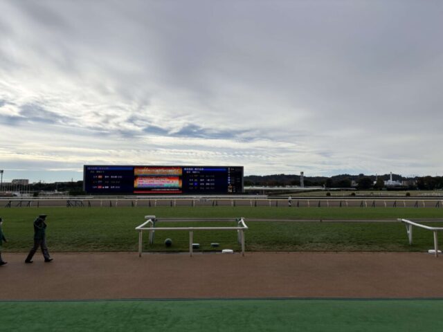 ターフビジョン前（東京競馬場）