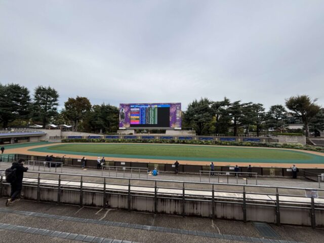 パドック（東京競馬場）