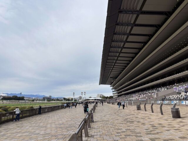 観客席（東京競馬場）