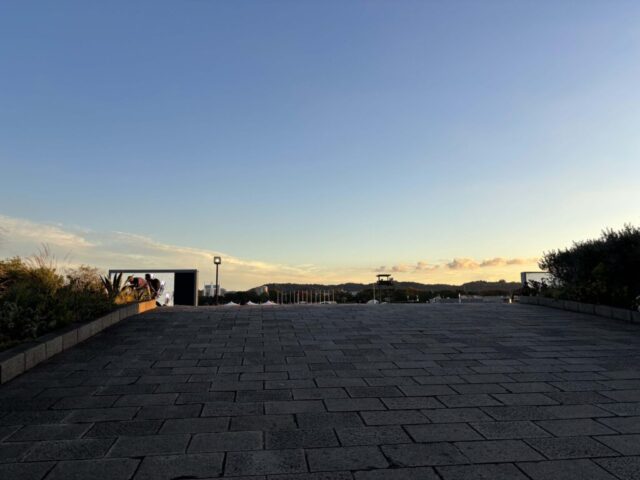 コース（東京競馬場）