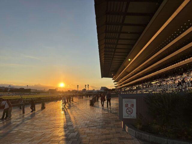 夕暮れ（東京競馬場）
