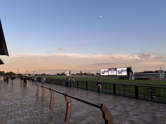 夕暮れ②（東京競馬場）