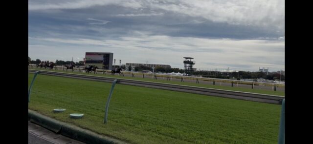 第３Ｒ　２歳未勝利　2,000メートル（芝）→「直線」