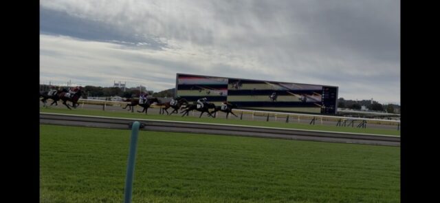 第３Ｒ　２歳未勝利　2,000メートル（芝）→「直線」②